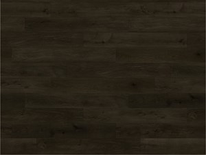 Paradigm Conquest Shire 9 x 72